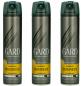 Preview: Gard Professional Haarspray Business sehr stark 250 ml