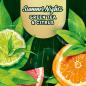 Preview: Sagrotan Hygiene-Seife Summer Nights Green Tea & Citrus No-Touch Nachfüller 250 m