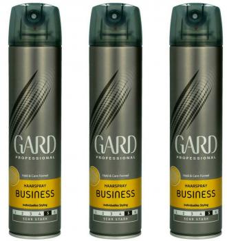 Gard Professional Haarspray Business sehr stark 250 ml