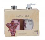 aldoVANDINI Geschenkset Vanilla & Chai Tea Limited Edition 2 x 250 ml